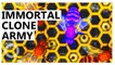 Honeybee Clones Herself, Creates Immortal Clone Army of Millions