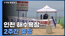 인천 해수욕장 2주간 휴장...상인들 '고통 속 인내' / YTN