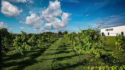 La tredicesima edizione del 'Bilancio di Sostenibilità' di Florim