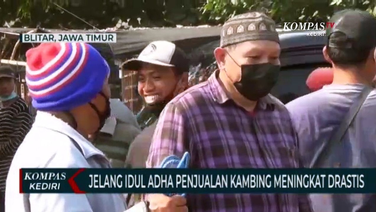 Jelang Idul Adha, Penjualan Kambing Meningkat Drastis