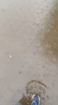 Débordement du lac de Louvain-la Neuve