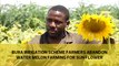 Bura irrigation scheme farmers abandon water melon farming to begin sun flower farming