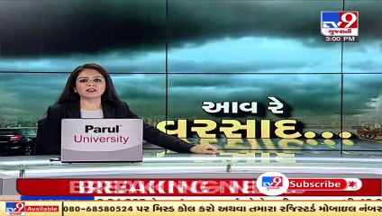 Groundnut farmers delighted after rain showers continue in Porbandar _ TV9News