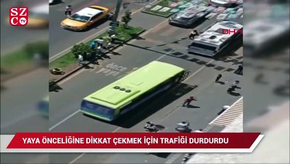 Download Video: Yaya önceliğine dikkat çekmek için trafiği durdurdu