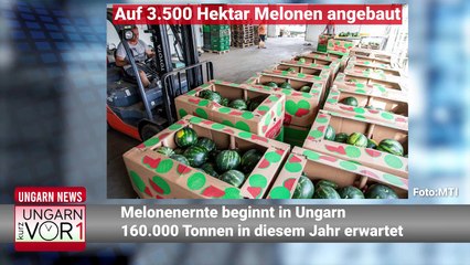 Kurz vor 1 - Nachrichten am Mittag aus Ungarn (14.07.)