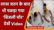 Ghaziabad Viral Video: छिपा, रेंगा  लेकिन फिर भी पकड़ा गया बिजली चोर, देखें वीडियो | वनइंडिया हिंदी