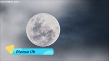 Fall Asleep On A Full Moon Night With natural  Sounds - 1 Hours of Deep Sleeping