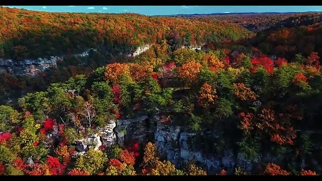 Quick Relaxation 11 minute session. Relaxing Music, Stress Relief, Anxiety Relief, Meditation Music.