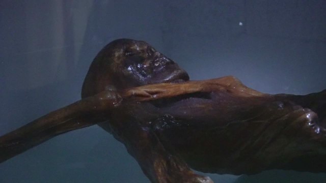 30 anni fa la scoperta di Otzi. Un sonno di 5 mila anni in una culla di ghiaccio