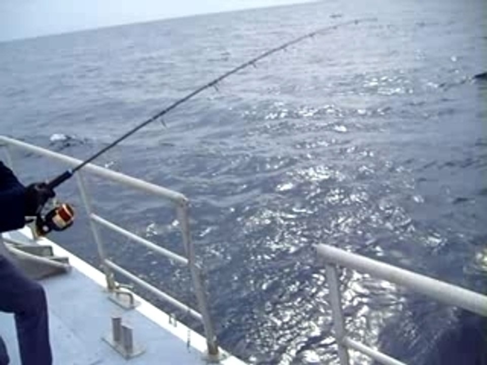 jigging denti part 1