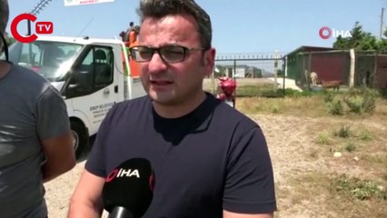 Sivrisinekler kabus olmasın: Saksı altlıkları, lastik içleri, kullanılmayan bidonlara dikkat