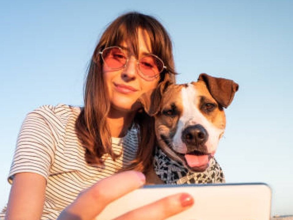 Tierische Hitzephase: Das musst du über die 'Hundstage' wissen