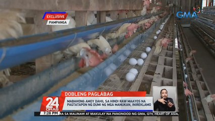 Télécharger la video: Mabahong amoy dahil sa hindi raw maayos na pagtatapon ng dumi ng mga manukan, inireklamo | 24 Oras