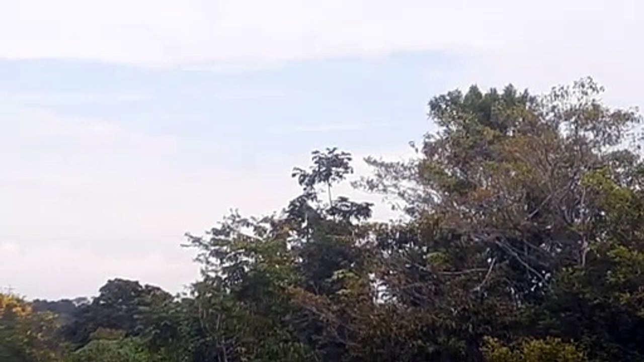 Airbus A320 PR-MYI na aproximação final antes de pousar em Manaus vindo de Guarulhos