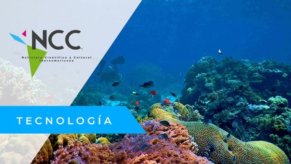 “Panel del Océano”, el pacto por la sostenibilidad de los mares