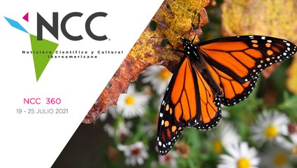 Noticiero Científico y Cultural Iberoamericano, emisión 360. 19 al 25 de julio del 2021