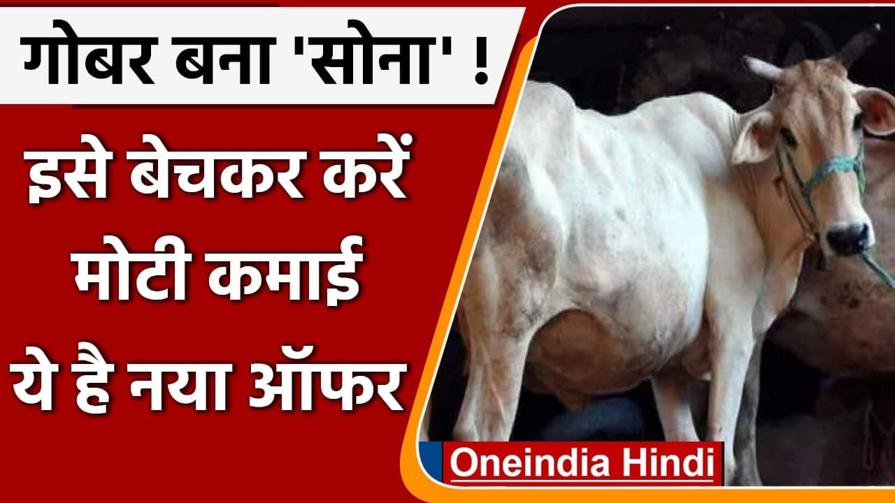 Cow Dung बेचकर कमाई, Delhi समेत इन छह शहरों खुलेगी Natural Paint फैक्ट्री | वनइंडिया हिंदी
