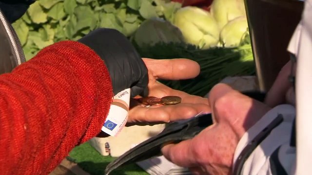 ЕЦБ запускает цифровой евро