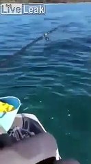 Ce poulpe tout juste peché va se venger... jet d'encre en pleine tête