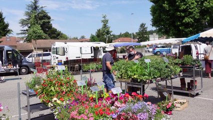 Marché de producteurs de Saint Donat - 1ere partie