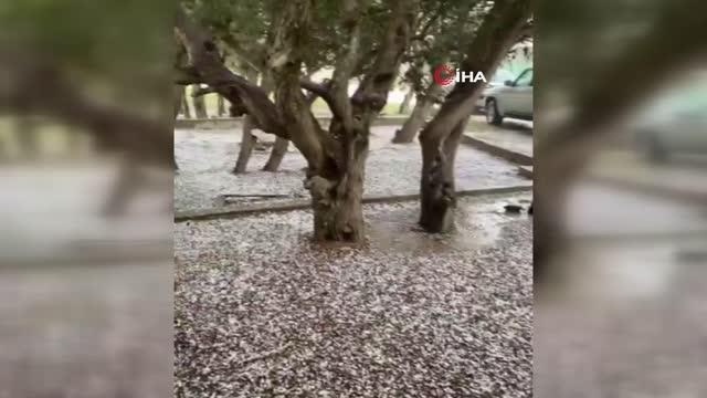 Suudi Arabistan'da yaz ortasında fındık büyüklüğünde dolu yağdı