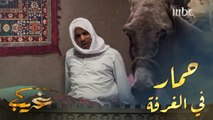 حمار في غرفة غريب.. شاهد ردة فعله