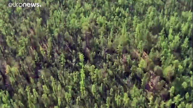 Якутия - эпицентр лесных пожаров