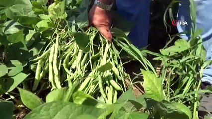 150 işçinin yaptığını makine 1 saatte yapıyor