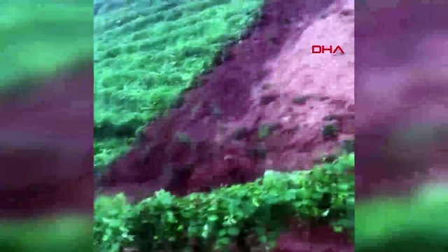 Rize'de sağanak nedeniyle dereler taştı, evleri su bastı, yollar kapandı