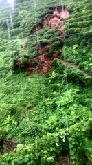 Çay bahçesindeki heyelan anı kamerada