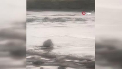 Sel, Taşlıçay-Doğubayazıt yolunu ulaşıma kapattı