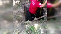 Kırıkkale'de 15 metrelik kuyuya düşen köpek kurtarıldı