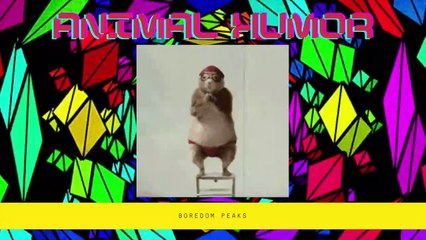 Meme Compilation #52 | Boredom Peaks