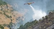 Caramanico Terme (PE) - Incendio boschivo alimentato dal forte vento (14.07.21)