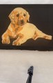 Artist Makes Portrait of Puppy Using Wax And Colorful Dyes on Fabric