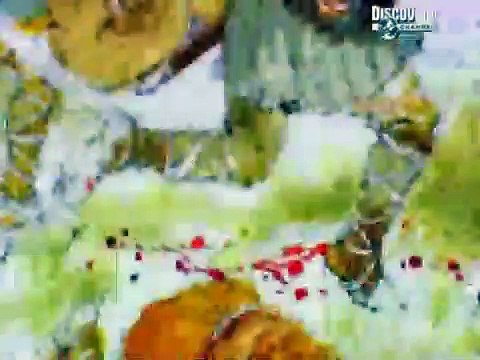 04. Time Team S10-E04 Fetlar,.Shetlands