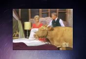 Green Acres - S04 x 099 - A Husband For Eleanor -  Green Acres Season04