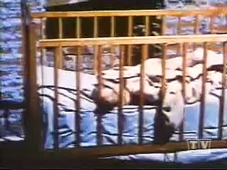 Green Acres S02 x 037 - I Didn't Raise My Pig To Be A Soldier