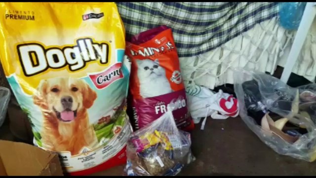 Bazar é realizado para ajudar animais em situação de vulnerabilidade e quitar dívidas em clínicas veterinárias