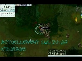 Ragnarok Online Roann en action