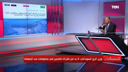 Download Video: السودان يطالب بـ«ضامنين» فى مفاوضات سد النهضة والديهي معلقا 