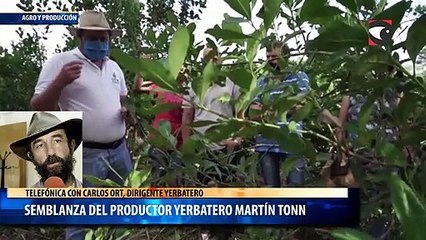 Semblanza del productor yerbatero Martín Tonn