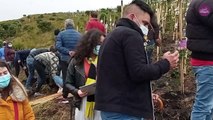 La finca cerca de Bogotá donde se reforesta un páramo con la cenizas de fallecidos por Covid-19