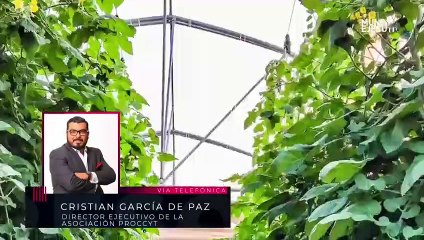 Pesos y contrapesos: México reporta 12,116 nuevos casos de Covid-19