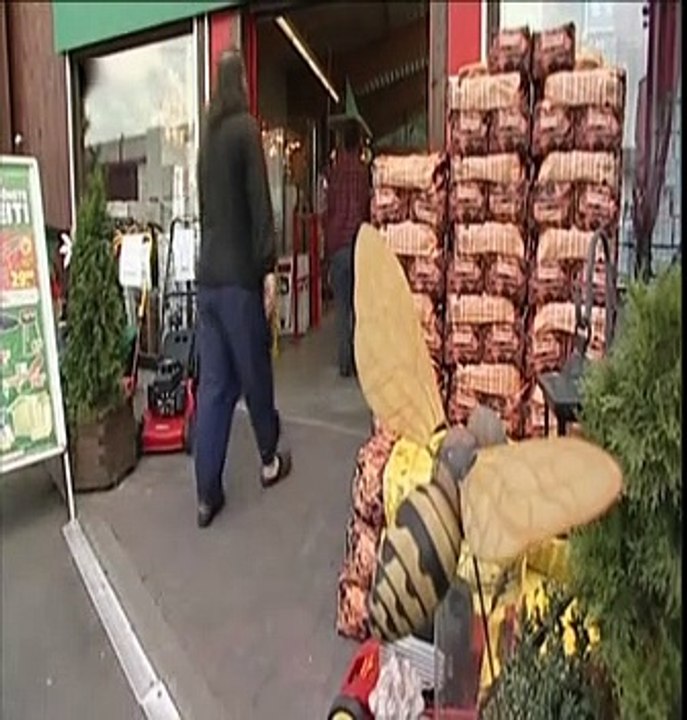 Die Ludolfs (83) Die Tapeten-Revolution