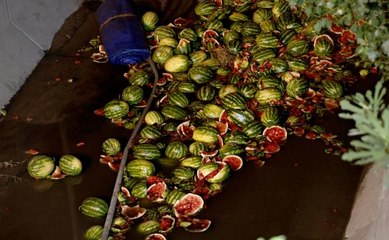 Esenyurt'ta karpuz yüklü kamyon dereye devrildi: 1 yaralı