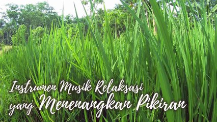 #32 Instrumen Musik Relaksasi yang Menenangkan Pikiran