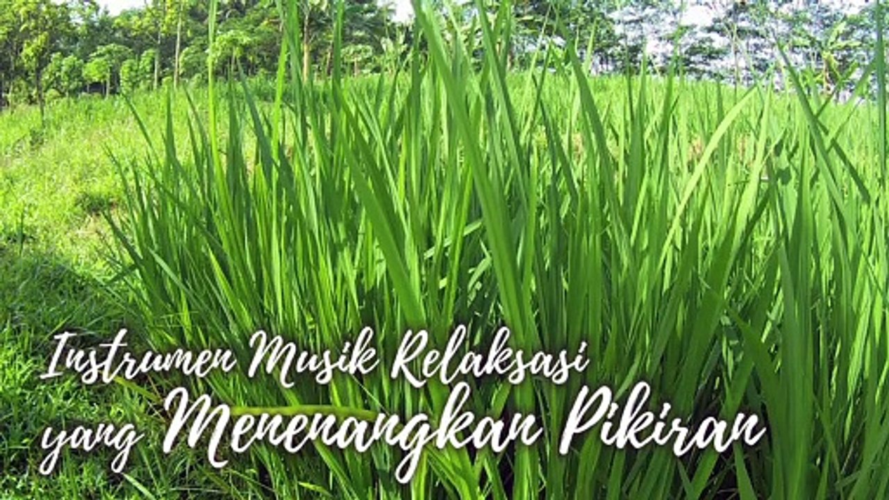 #40 Instrumen Musik Relaksasi yang Menenangkan Pikiran
