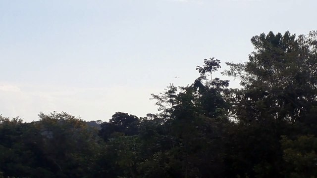 Airbus A320 PR-TYF na aproximação final antes de pousar em Manaus vindo de Guarulhos