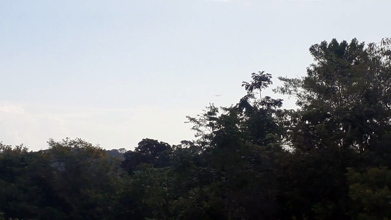 Airbus A320 PR-TYF na aproximação final antes de pousar em Manaus vindo de Guarulhos